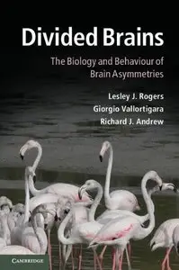 Divided Brains: The Biology and Behaviour of Brain Asymmetries (repost)