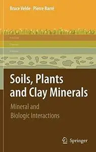 Soils, Plants and Clay Minerals: Mineral and Biologic Interactions