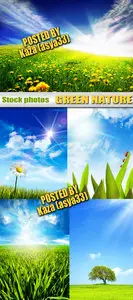 Green nature & blue sky