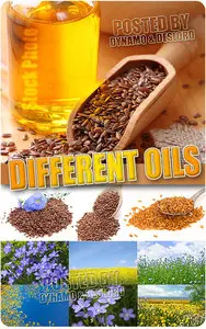 Different Oils - UHQ Stock Photo