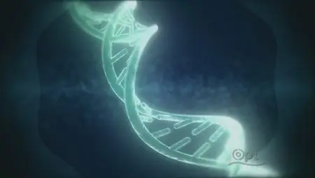 PBS - NOVA scienceNOW: Can Science Stop Crime? (2012)