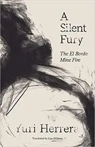 A Silent Fury: The El Bordo Mine Fire