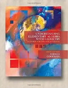 Understanding Elementary Algebra with Geometry: A Course for College Students