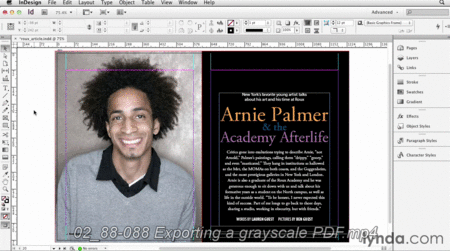 InDesign Secrets (Updated 2014) 