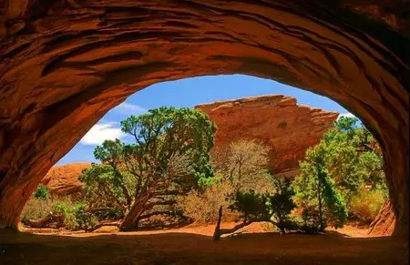 World In Photo 233