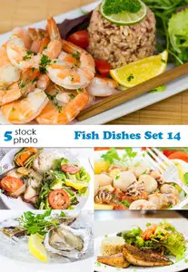 Photos - Fish Dishes Set 14