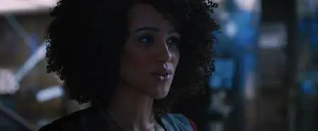 The Fate of the Furious (2017)