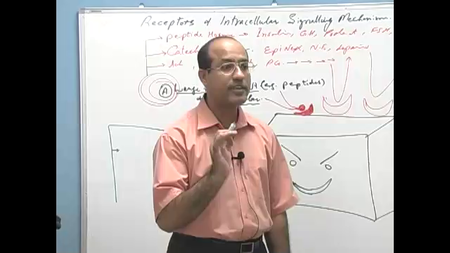 Dr. Najeeb - Endocrine Physiology (2015)