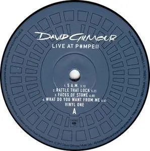 David Gilmour - Live at Pompeii (2017) [Vinyl Rip 16/44 & mp3-320 + 2 x Blu-ray] Re-up