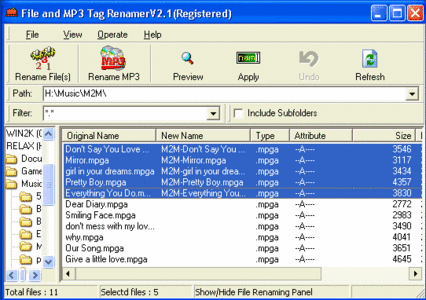 File and MP3 Tag Renamer 2.2 Build 060603