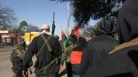 Black Power: America's Armed Resistance (2016)