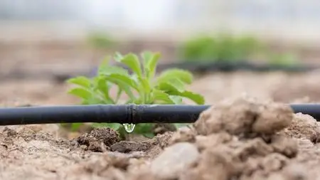 Drip Irrigation Design and Installation for Beginners