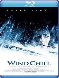 Wind Chill (2007)