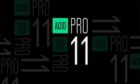 MAGIX ACID Pro / Pro Suite 11.0.2.21 (x64) Multilingual