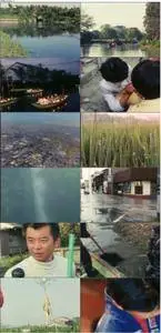 The Story of Yanagawa's Canals (1987)