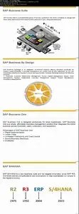 SAP for Beginners - Comprehensive Guide 2016