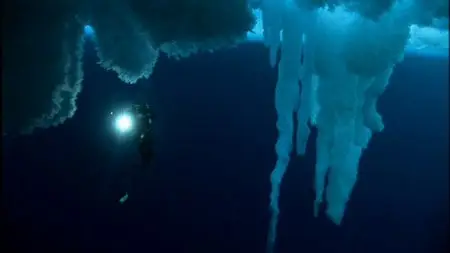 Encounters at the End of the World (2007) [Re-UP]