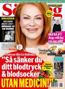 Aftonbladet Söndag – 20 augusti 2017