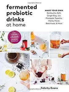 Fermented Probiotic Drinks at Home