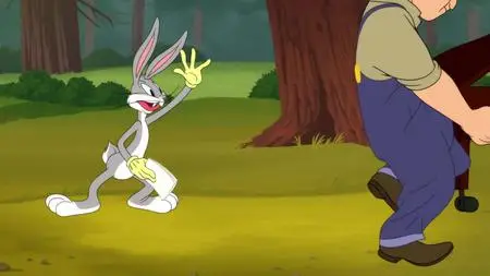 Looney Tunes Cartoons S01E64