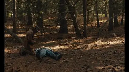 Slow West (2015)