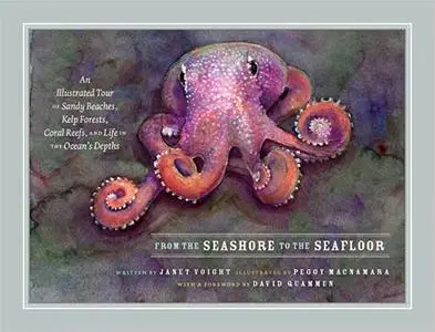 From the Seashore to the Seafloor: An Illustrated Tour of Sandy Beaches, Kelp Forests, Coral Reefs, and Life in the Ocean