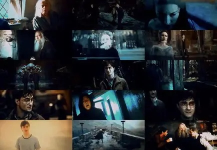Harry Potter and the Deathly Hallows: Part 2 (2011)