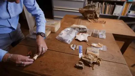 Smithsonian Ch. - When Whales Walked: Journeys in Deep Time (2019)