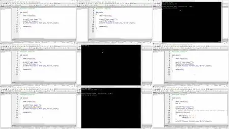 C: Data Structures, Pointers, and File Systems