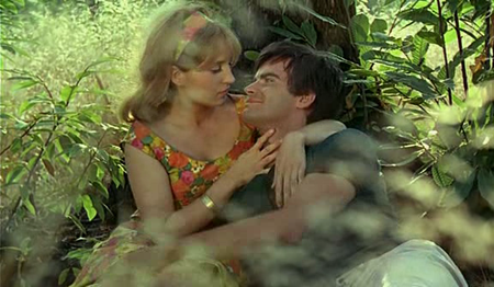 Agnès Varda-Le Bonheur (1965)