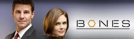 Bones - saisons 1 à 4  (84/84)