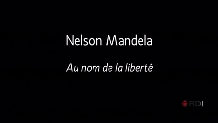 Nelson Mandela Au Nom De La Liberté (2009)