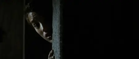 Vikaren / The Substitute (2007)
