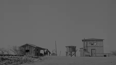 High Noon (1952)