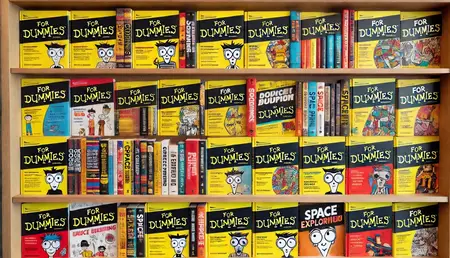 100 For Dummies Series Books Collection