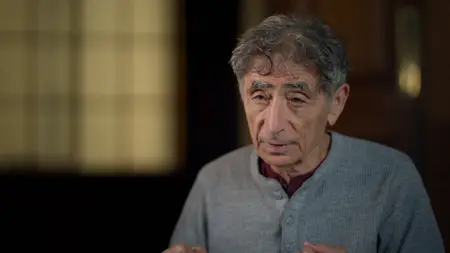 Hooked The Dr Gabor Mate Interview (2025)
