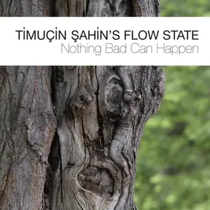 Timucin Sahin's Flow State - Nothing Bad Can Happen (2017) [Official Digital Download]