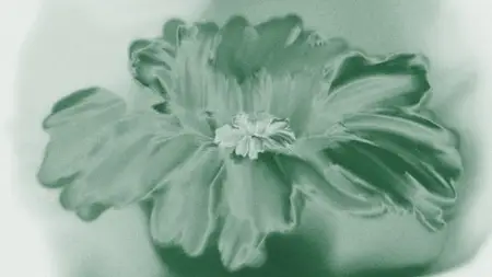 Because I Don'T Like My Brother At All-!! - S00