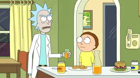 Rick and Morty S01E06