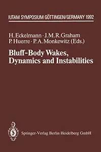Bluff-Body Wakes, Dynamics and Instabilities