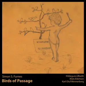 Simon S. Furnes - Birds of Passage (2025) [Official Digital Download]