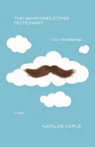 The Semiconducting Dictionary (Our Strindberg)