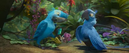 Rio 2 (2014)