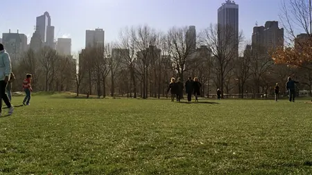 Family Business (1989)