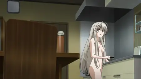 Yosuga no Sora (2010 S01E12 Kasugano Sora Arc V To the Distant Sky ANE