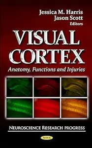 Visual Cortex: Anatomy, Functions and Injuries