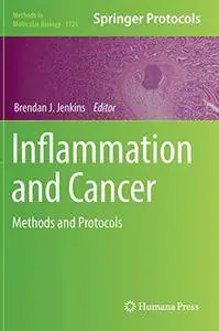 Inflammation and Cancer: Methods and Protocols