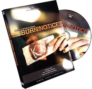 Burn Notice by Chris Wiehl and The Blue Crown