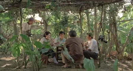 Tau ban no hoi (1982)