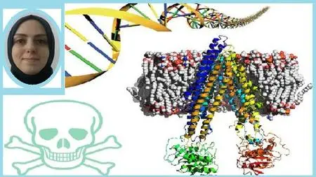 Biology, Translational Pharmacology & Toxicology Computation